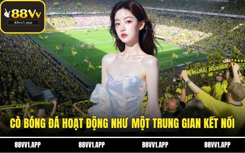 Cò bóng đá hoạt động như một trung gian kết nối người chơi và kèo ngầm