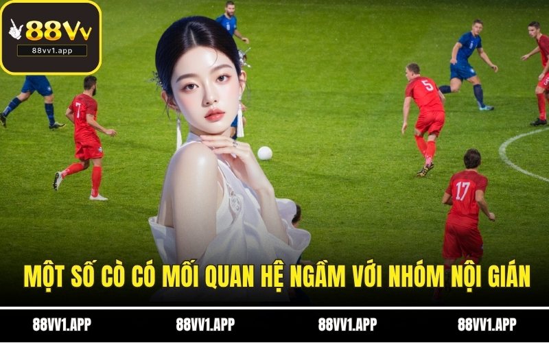 Một số cò có mối quan hệ ngầm với nhóm nội gián